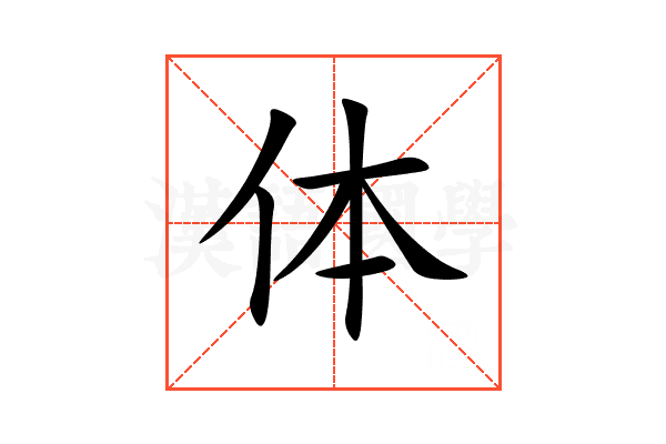 体