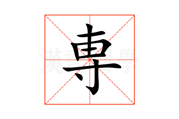 専