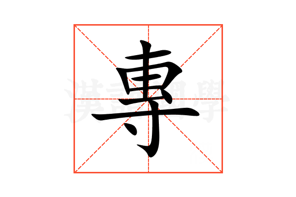 專