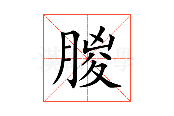 朡