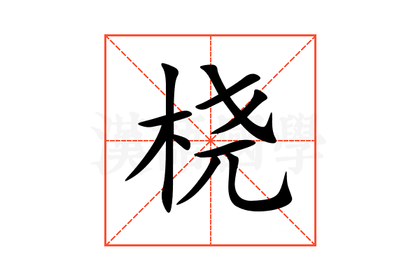 桡