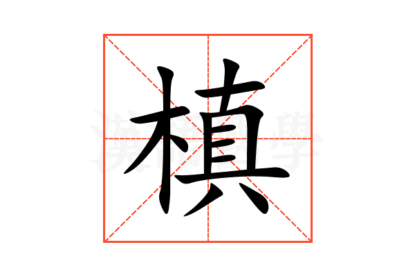 槙