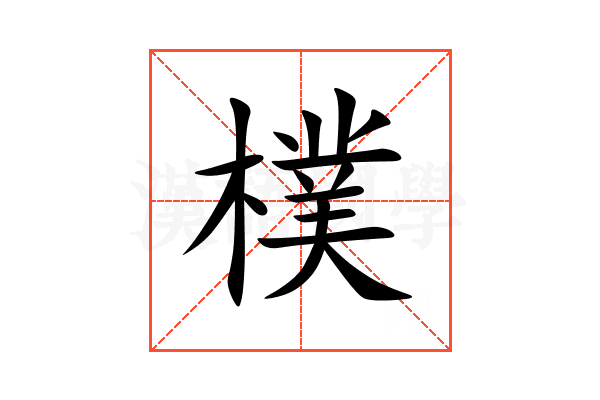 樸
