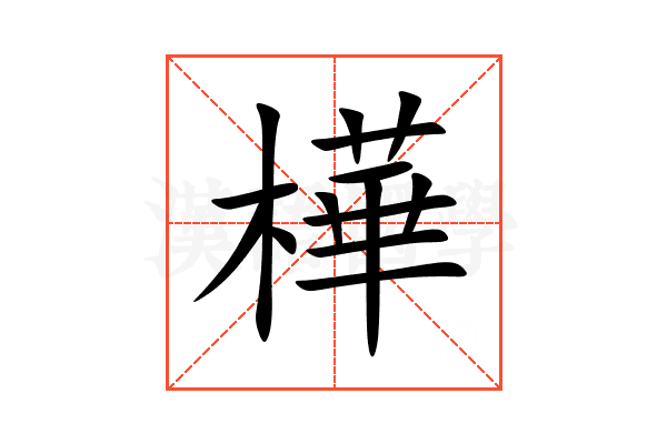 樺