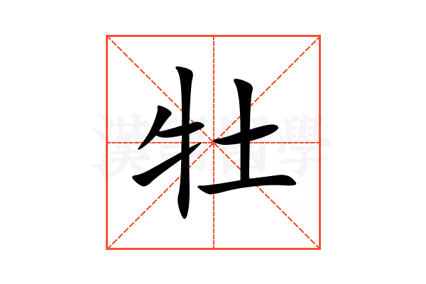 牡