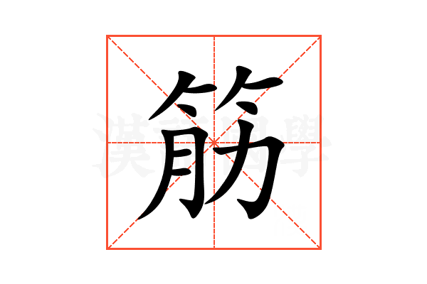 筋