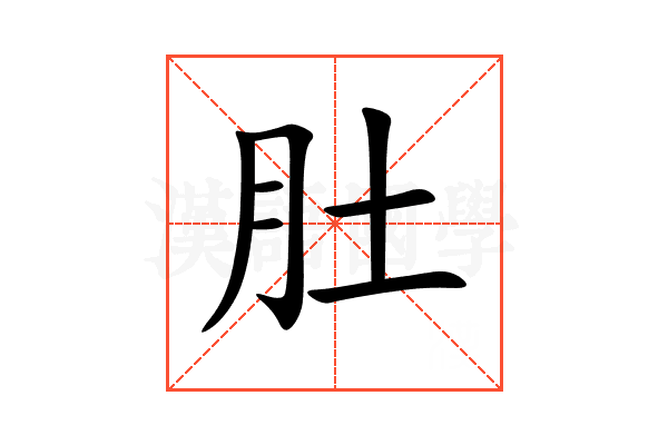 肚