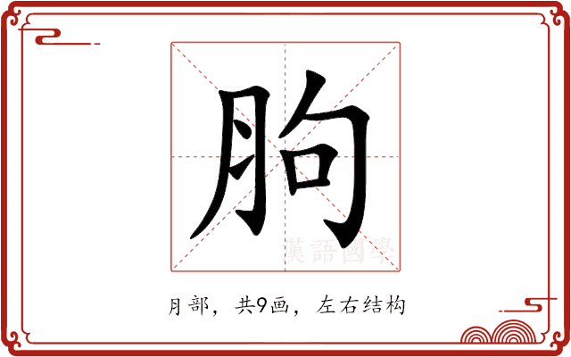 胊