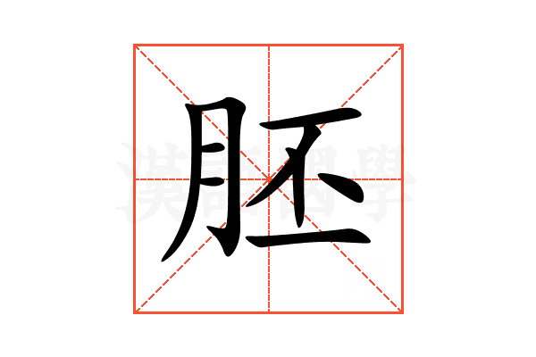 胚