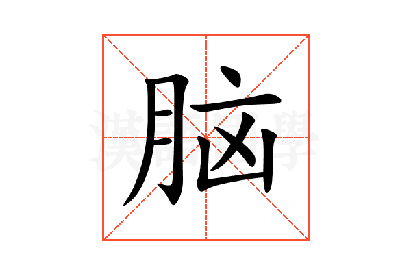 脑