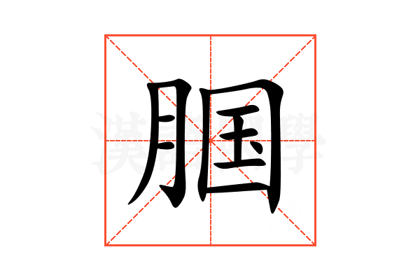 腘