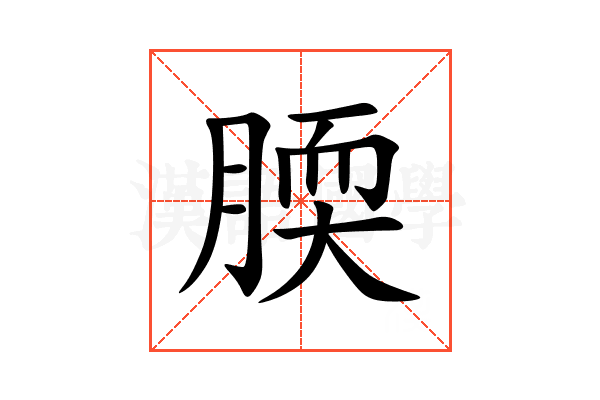 腝