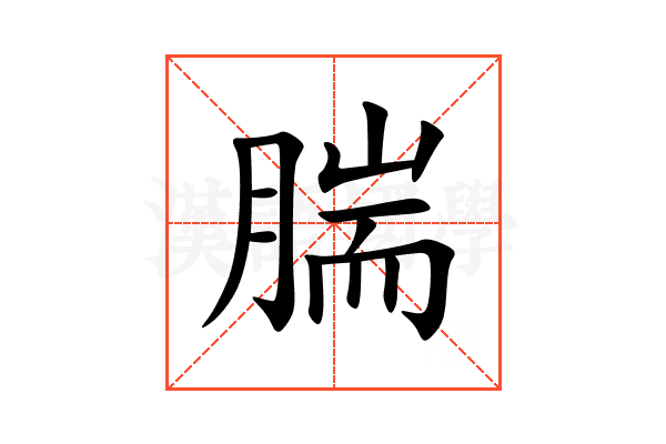 腨