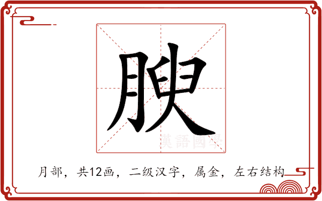 腴