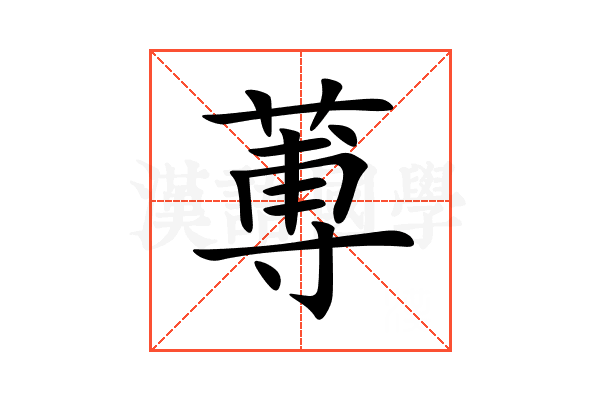 蒪