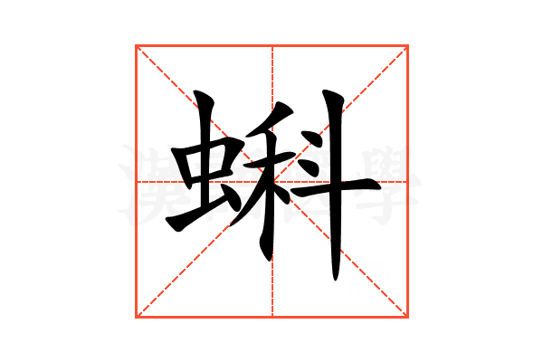 蝌