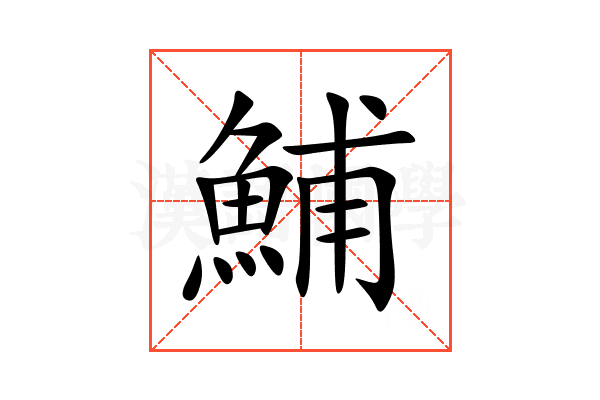 鯆