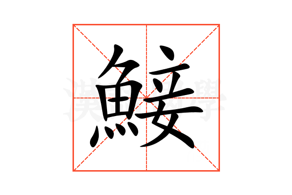 鯜