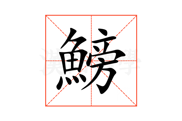 鰟