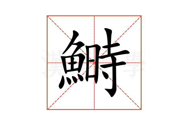 鰣