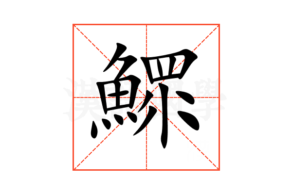 鰥
