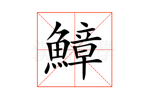 鱆