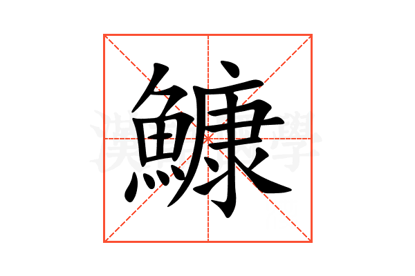 鱇