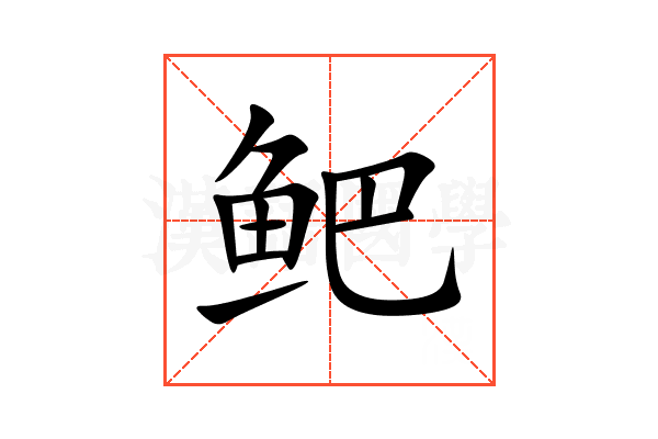 鲃