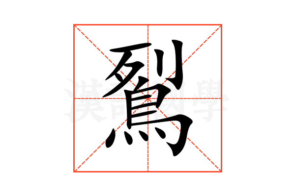 鴷