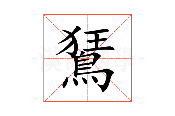 鵟