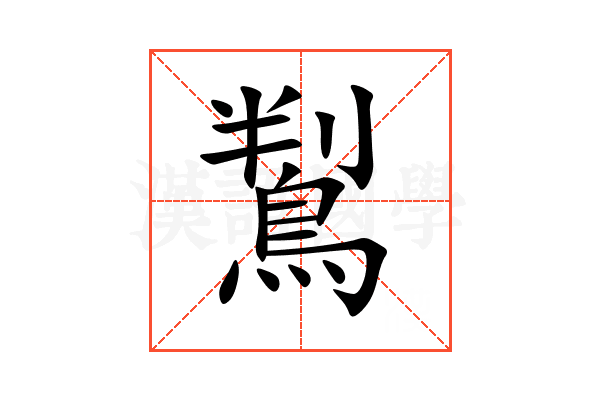 鵥