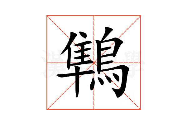 鶽