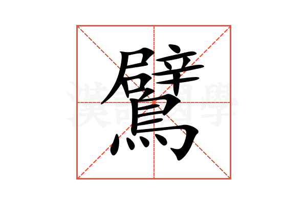 鷿