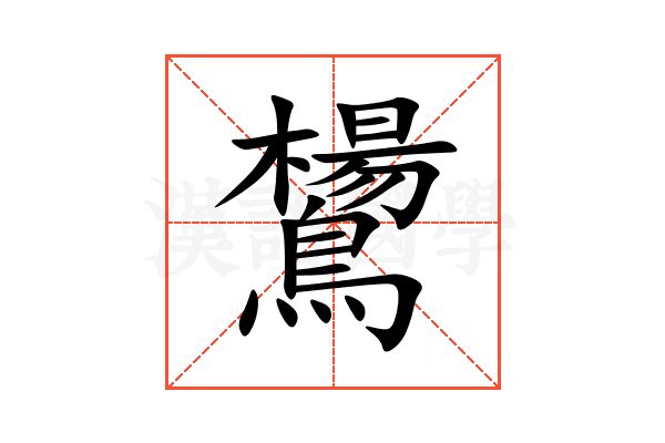 鸉