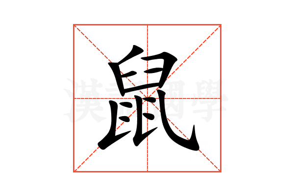 鼠