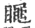 ?(印刷字体·宋·广韵)