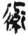 ?(简·秦·岳麓书院)