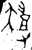 ?(金文·西周·西周中期)