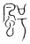 ?(传抄·宋·集篆古文韵海)