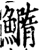 䲊(印刷字体·宋·增韵)