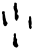 少(甲骨文·商·?宾间)