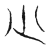 少(传抄·宋·隶释 隶续)