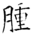 腫(石经·唐·开成石经)