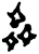齊(甲骨文·商·宾组)